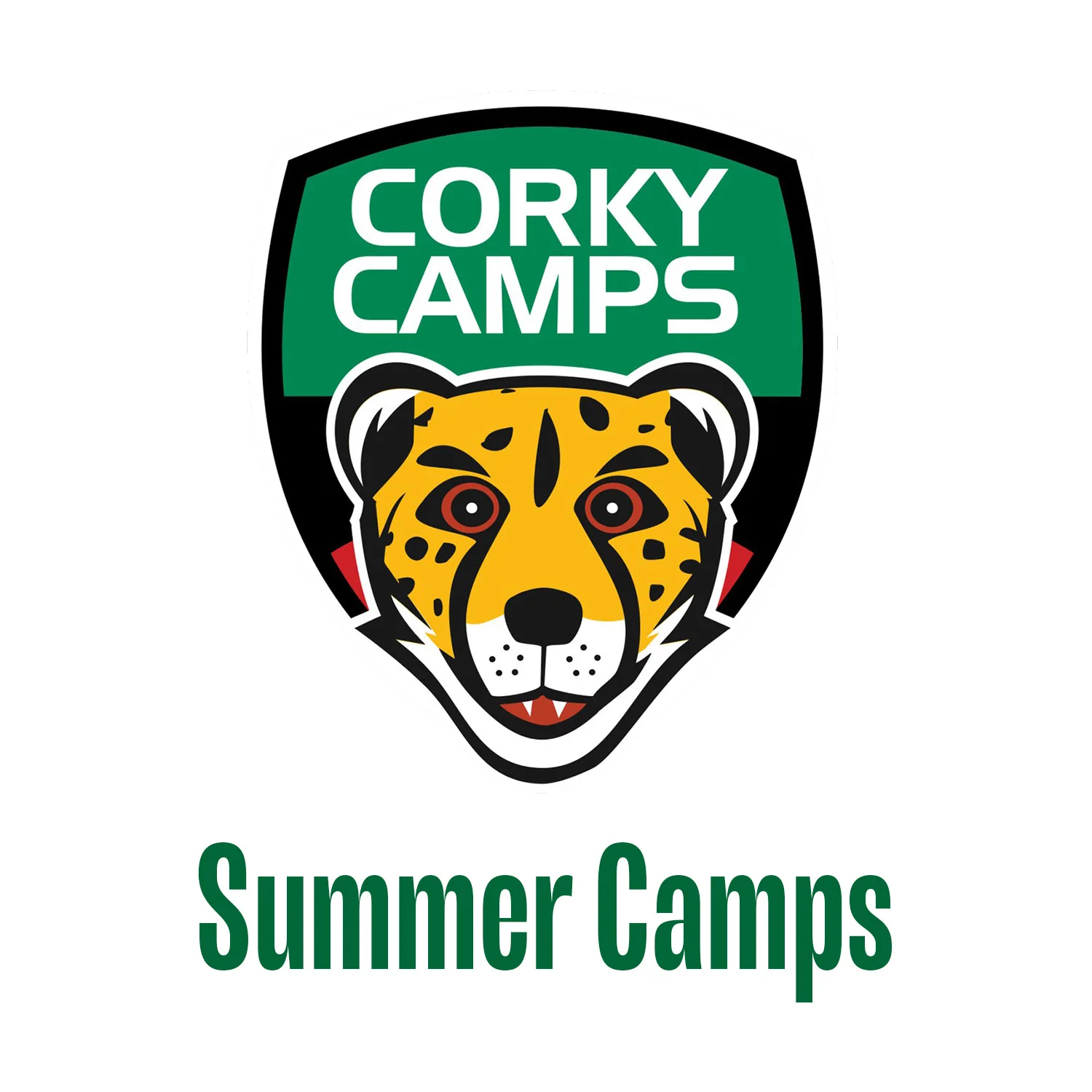 2026 Bishopstown Training Ground Summer Corky Camps